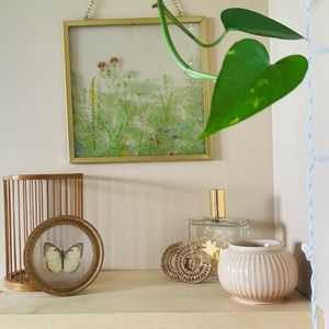 Vintage Bamboo Encapsulated ButterFly Ring Dish 🦋